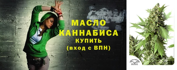 эйфоретик Арсеньев